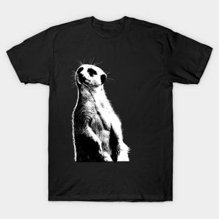 Meerkat live in southern Africa T-Shirt